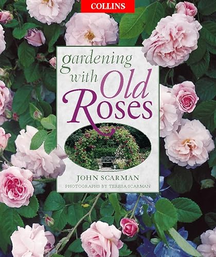 9780004140858: Gardening with Old Roses