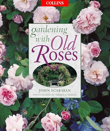 Stock image for Gardening With Old Roses for sale by 2nd Act Books