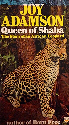 Beispielbild fr Queen of Shaba zum Verkauf von WorldofBooks