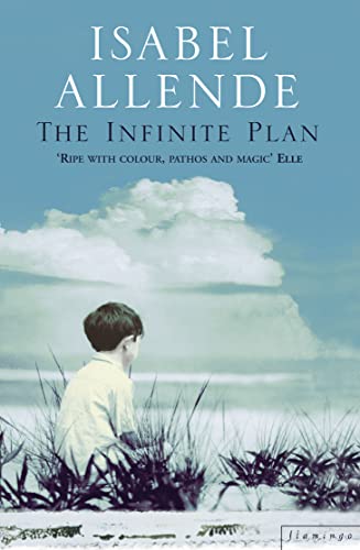 Beispielbild fr The Infinite Plan: A Novel zum Verkauf von gearbooks