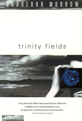 Beispielbild fr Trinity Fields zum Verkauf von WorldofBooks