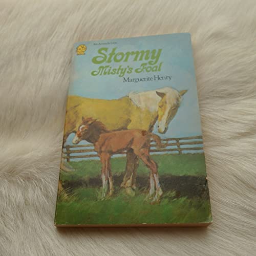 Stock image for Stormy, Misty's Foal for sale by Goldstone Books