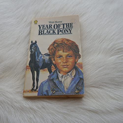Beispielbild fr Year of the Black Pony (Lions S.) zum Verkauf von WorldofBooks