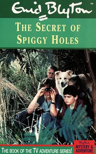 9780006753179: Secret of Spiggy Holes (The Secrets Series)