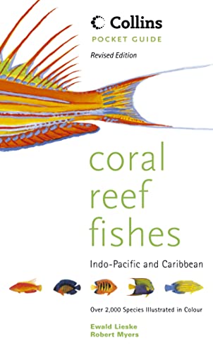 Beispielbild fr Collins Pocket Guide  " Coral Reef Fishes of the Indo-Pacific and Carribean zum Verkauf von WorldofBooks