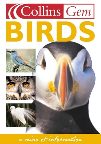 Beispielbild fr Birds zum Verkauf von Wonder Book