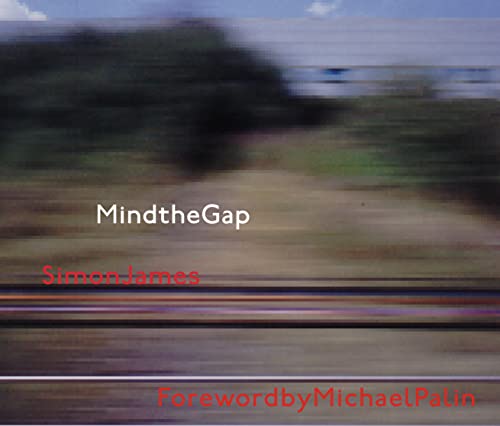 Beispielbild fr Mind the Gap zum Verkauf von WorldofBooks