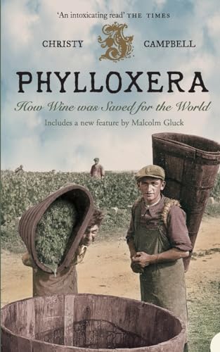 Stock image for Phylloxera How Wine was Saved for sale by SecondSale