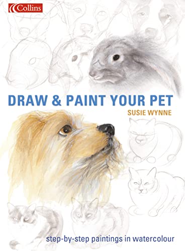 Stock image for Draw and Paint your Pet for sale by WorldofBooks