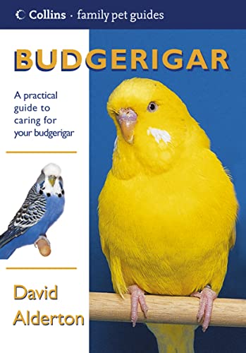 9780007122844: Budgerigar (Collins Family Pet Guide)