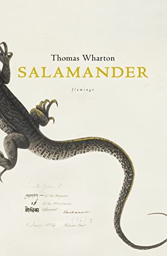 Stock image for Salamander for sale by WorldofBooks