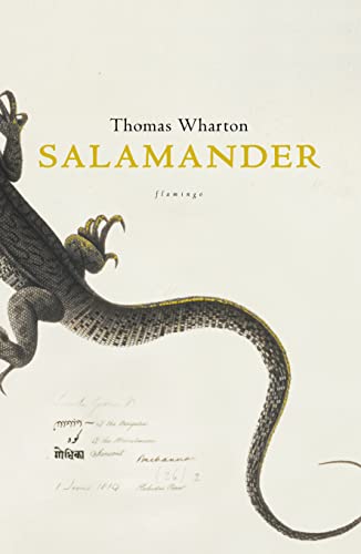 9780007128648: Salamander