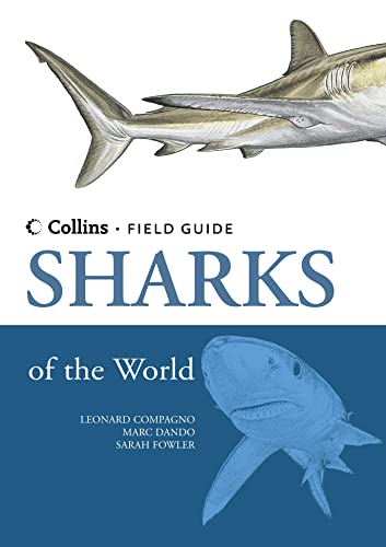 Imagen de archivo de Collins Field Guide - Sharks a la venta por Brit Books
