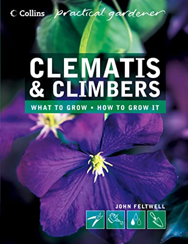 Stock image for Collins Practical Gardener " Clematis and Climbers (Collins Practical Gardener S.) for sale by AwesomeBooks