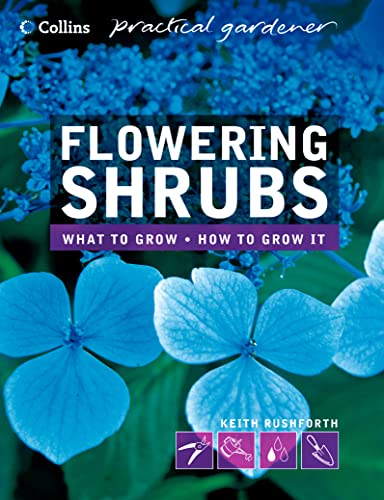 Stock image for Collins Practical Gardener  " Flowering Shrubs (Collins Practical Gardener S.) for sale by WorldofBooks