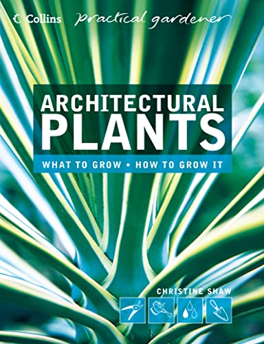 Stock image for Architectural Plants : Ferns, Palms, Hostas and Yuccas for sale by Half Price Books Inc.