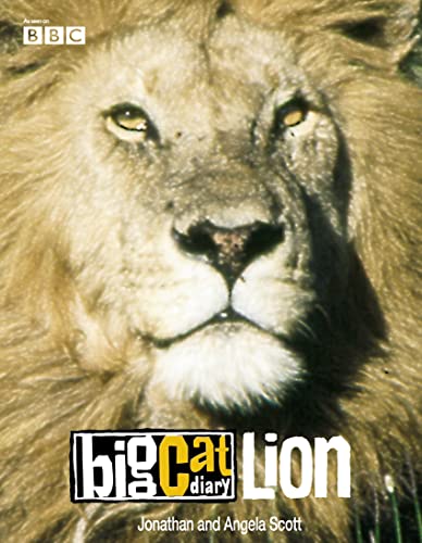 9780007146666: Big Cat Diary: Lion