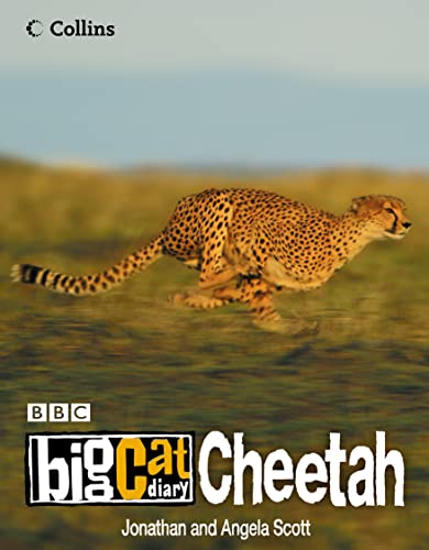 Beispielbild fr Big Cat Diary: Cheetah zum Verkauf von WorldofBooks