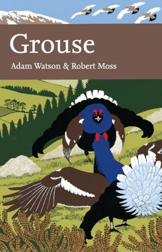 Stock image for Grouse: The Natural History of British and Irish Species for sale by Salsus Books (P.B.F.A.)