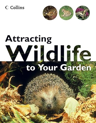 Attracting Wildlife To Your Garden