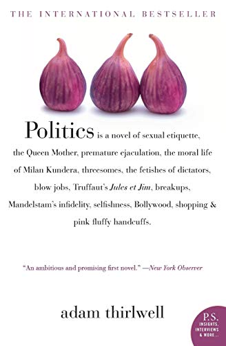 Imagen de archivo de Politics : A Novel a la venta por Better World Books: West