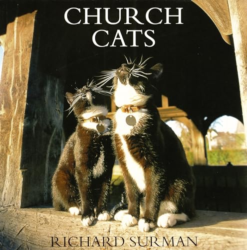 Beispielbild fr Church Cats zum Verkauf von Wonder Book