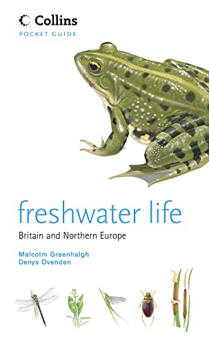 Beispielbild fr Freshwater Life zum Verkauf von Blackwell's