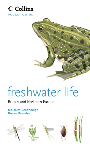 Imagen de archivo de Freshwater Life a la venta por Blackwell's