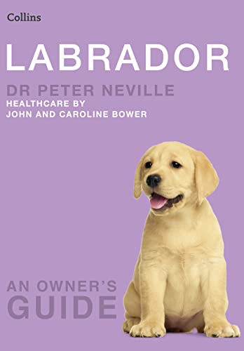 Stock image for Labrador (Collins Dog Owner's Guides) for sale by Half Price Books Inc.