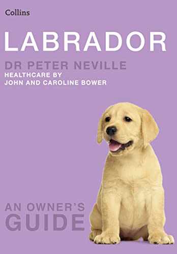 Stock image for Labrador (Collins Dog Owner's Guides) for sale by Bcherbazaar