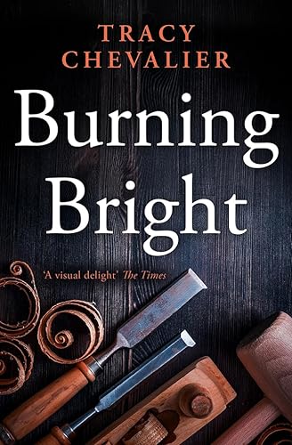 Beispielbild für Burning Bright zum Verkauf von Hippo Books