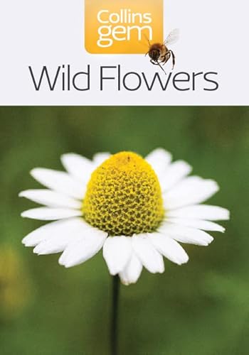 Beispielbild fr Wild Flowers zum Verkauf von Blackwell's