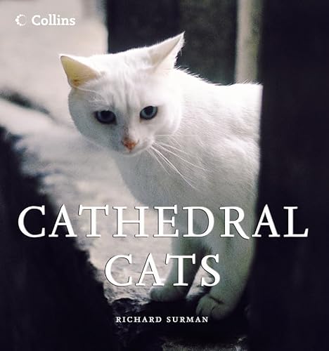 Beispielbild fr Cathedral Cats zum Verkauf von SecondSale