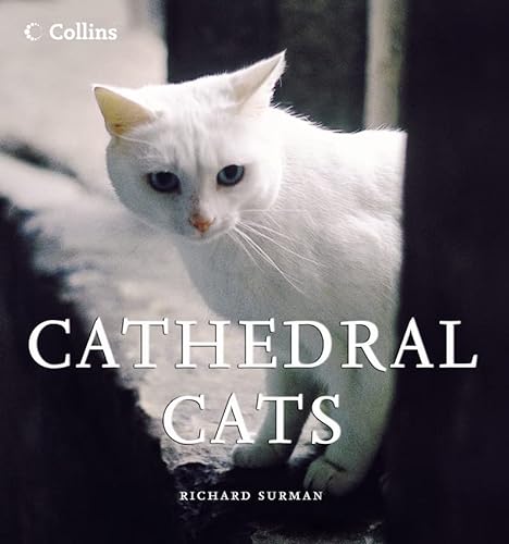 9780007182800: Cathedral Cats