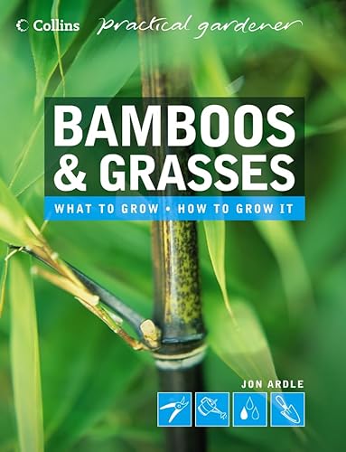 Imagen de archivo de Bamboos and Grasses a la venta por WorldofBooks