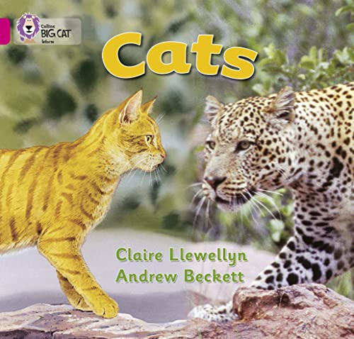 Cats: This simple non-fiction book compares pet cats and wild cats (Collins Big Cat) - Llewellyn, Claire