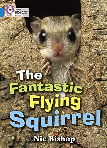 Stock image for The Fantastic Flying Squirrel: An information book about a flying squirrel with beautiful photographs. (Collins Big Cat) for sale by PBShop.store US