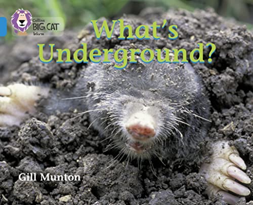 9780007185863: What’s Underground: This book reveals the amazing things that happen underground.