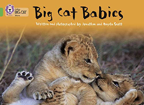 9780007185948: Big Cat Babies: This non-chronological report is packed with facts about big cats. (Collins Big Cat)