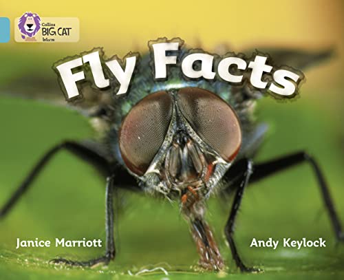 Stock image for Fly Facts: An informative picture book that presents a larger than life look at the fly. (Collins Big Cat): Band 07/Turquoise for sale by Chiron Media