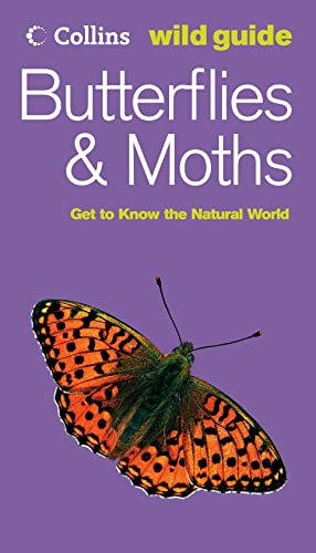 Beispielbild fr Butterflies and Moths (Collins Wild Guide) (Collins Wild Guide S.) zum Verkauf von WorldofBooks