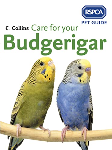 Imagen de archivo de Care for your Budgerigar (RSPCA Pet Guide) a la venta por WorldofBooks