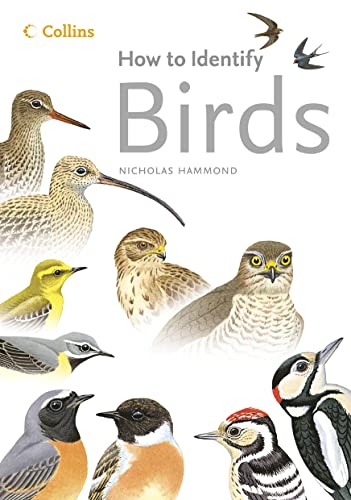 Beispielbild fr Birds (How to Identify) zum Verkauf von WorldofBooks
