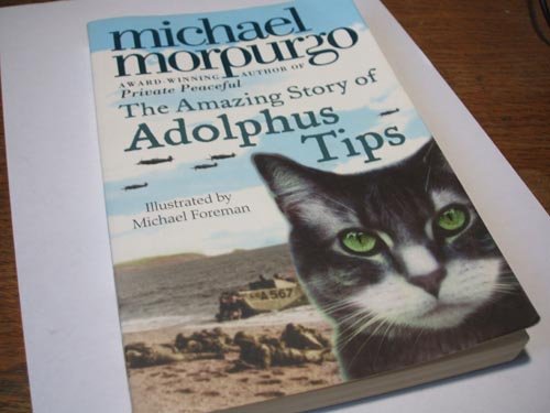 Stock image for The Amazing Story of Adolphus Tips for sale by Caryota Book Exchange