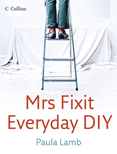 Stock image for Mrs Fixit Everyday DIY: The Real Woman's Guide To DIY for sale by AwesomeBooks