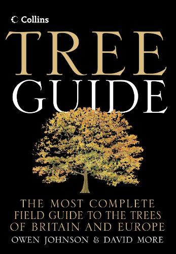 Beispielbild fr Tree Guide zum Verkauf von Blackwell's