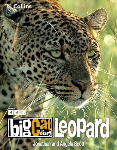 Beispielbild fr Big Cat Diary: Leopard zum Verkauf von WorldofBooks