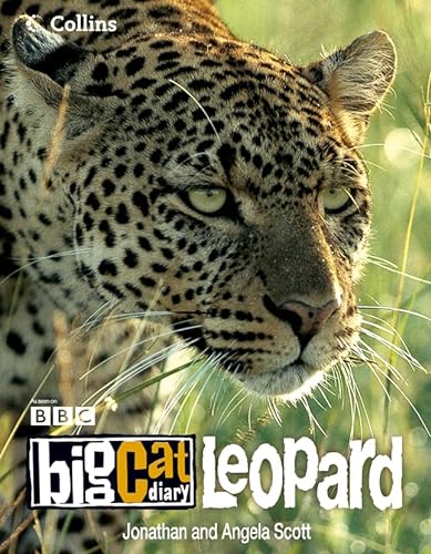 Stock image for Big Cat Diary: Leopard for sale by GF Books, Inc.