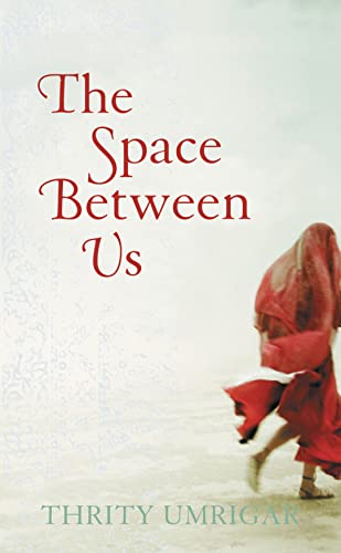 9780007212323: The Space Between Us