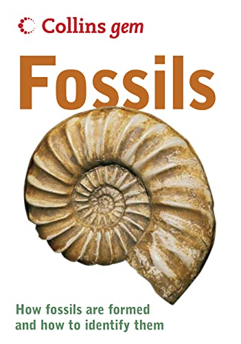 Beispielbild fr Fossils zum Verkauf von Better World Books